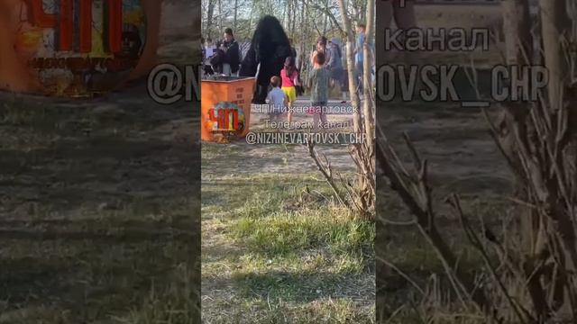 Драка между пьяным мужчиной и гориллой в Нижневартовске смотреть онлайн