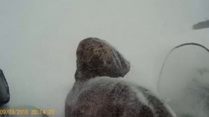 тайга 500 и рысь 500 мп по глубокому снегу