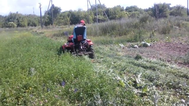 заготовка сіна смотреть онлайн