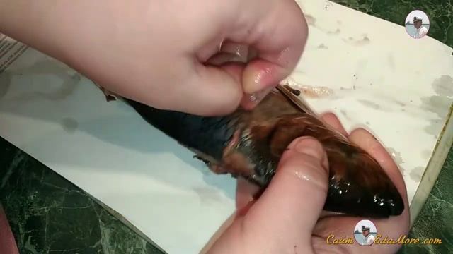 КАК ЧИСТИТЬ СЕЛЕДКУ ВИДЕО~РАСКРЫВАЕМ СЕКРЕТ ФОКУСА (ВИДЕО 1,2 МИНУТЫ) смотреть онлайн