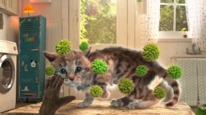 MY LITTLE KITTEN ADVENTURE - ANIMATED GREEN CAT AND LITTLE KITTEN - CARTOON LONG SPECIAL