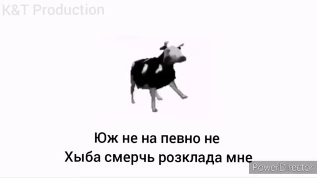 |польская корова танцует под польскую музыку| караоке смотреть онлайн