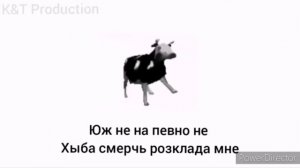 |польская корова танцует под польскую музыку| караоке