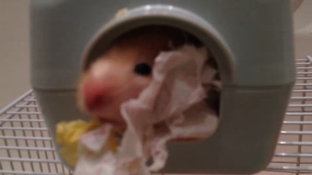 Чёрно во пятны шко нет смотреть онлайн