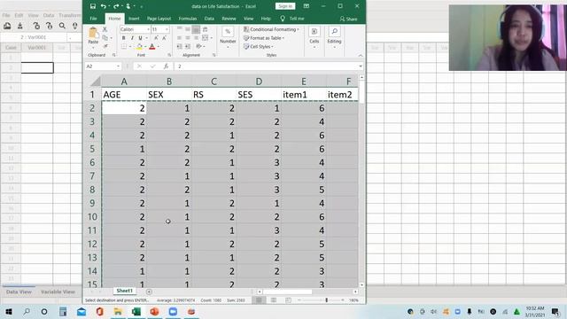 Transferring Data from Microsoft Excel to PSPP смотреть онлайн