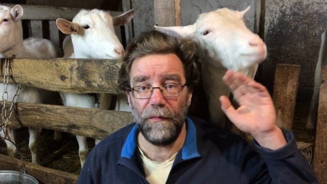 Мартовские Новости экофермы ЛПХ Фроловых смотреть онлайн