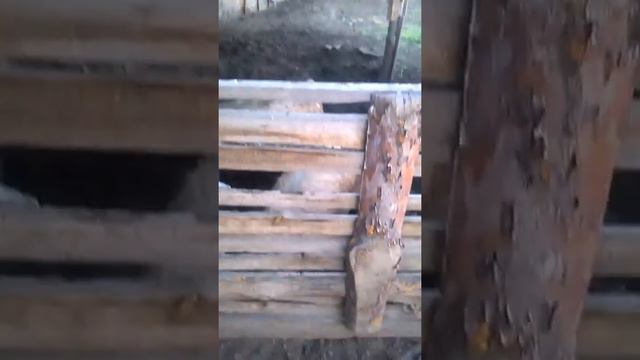кто посмотрел тот успешным стал приносит удачу успех смотреть онлайн