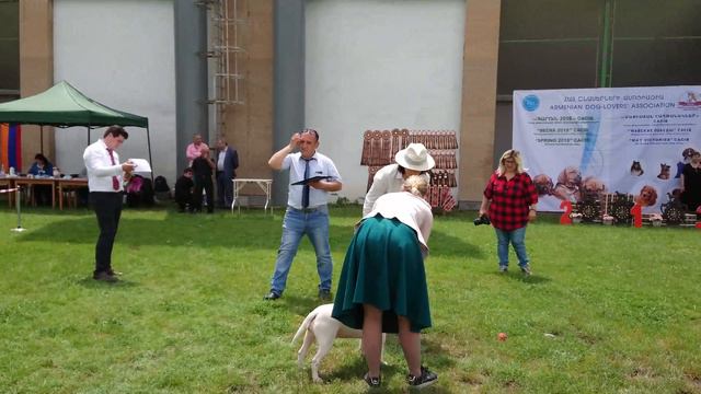 Armenia Yerevan 🇦🇲 ADLA-FCI BOS CAC CACIB MAY VICTORIES 2018 Expert N. Drovosekova смотреть онлайн