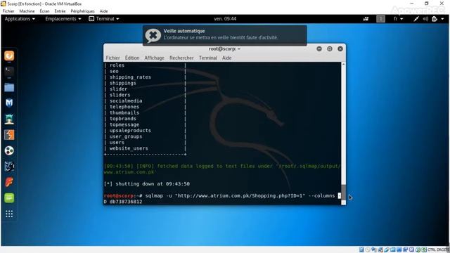 SQL Injection attack смотреть онлайн