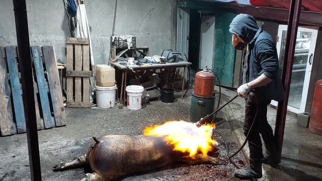 //Колій Роман-смалимо Свинку по Березанські???//Це не Горелка,це щось?// смотреть онлайн