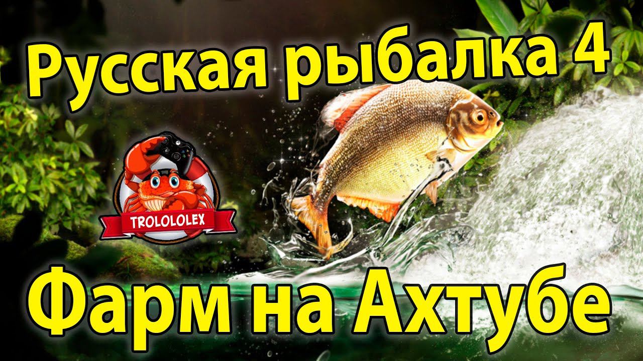 Русская рыбалка 4 Буффало большеротый и фарм на Ахтубе смотреть онлайн