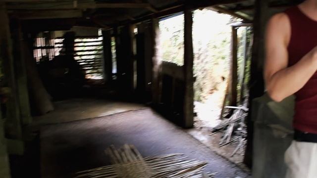 Шен пуэр с горы Па Ша. Чайное производство // ЧАЙ ПУЭР // Гора Па Ша смотреть онлайн