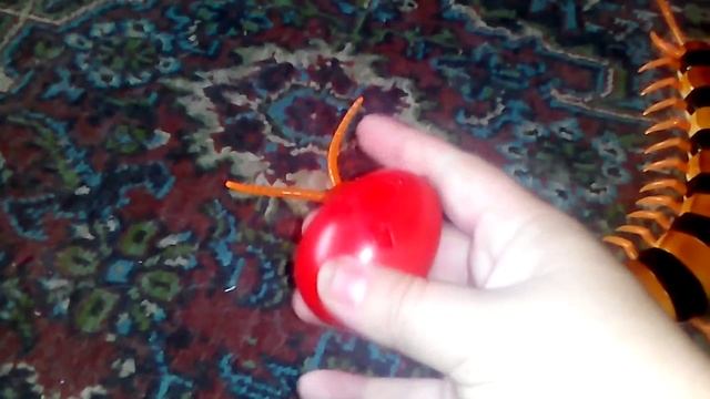 Природа во Всей Красе