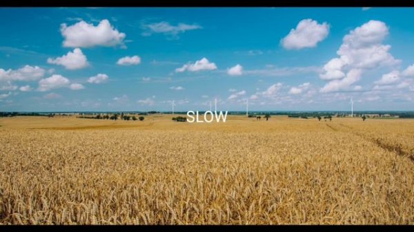 Піцики Лупіцики-Олег Ти Шо Плачеш slow