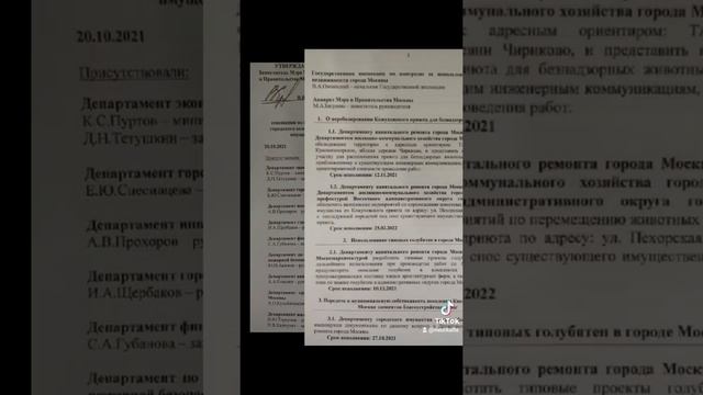 Подпишите пожалуйста петицию в защиту Кожуховского приюта https://chng.it/8cn7xsBF смотреть онлайн