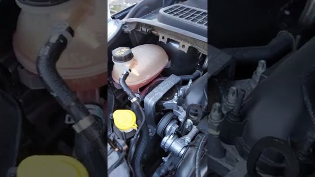 Яке масло та антифриз заливать в Ford Escape 2,5