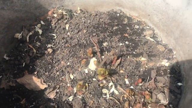 Перевезли курочек на дачу, занимаемся уборкой. смотреть онлайн