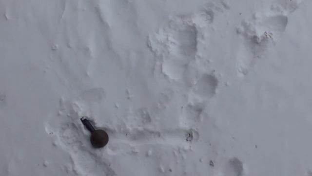 Как сбросить 8 кг за 20 секунд! ПРОВЕРЕННЫЙ ДЕДОВСКИЙ СПОСОБ! смотреть онлайн