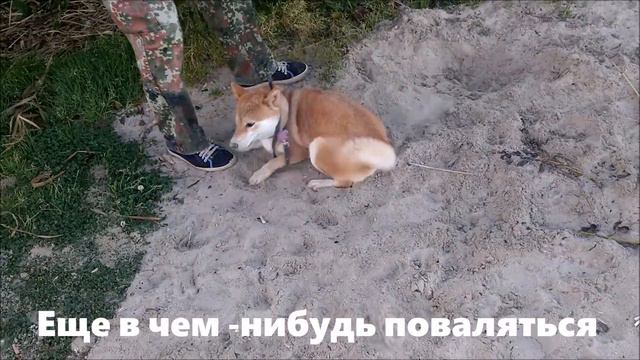 Инструкция от Моти смотреть онлайн