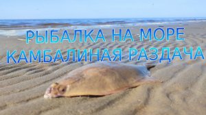 Рыбалка на камбалу на Белом море