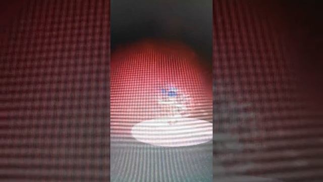 Винкс базовое превращение (роблокс) на английском смотреть онлайн