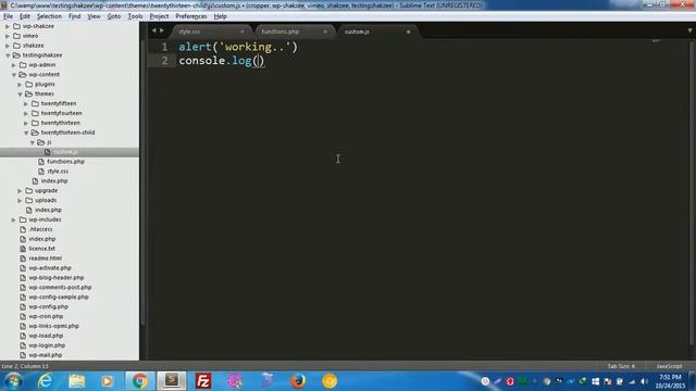 8 adding script css files using functions смотреть онлайн