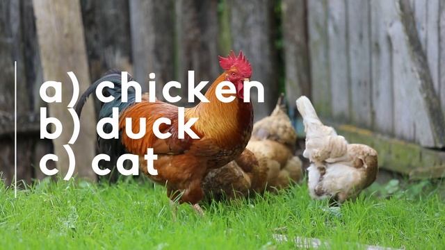 Animals on the Farm Guessing Game + Free Worksheets смотреть онлайн