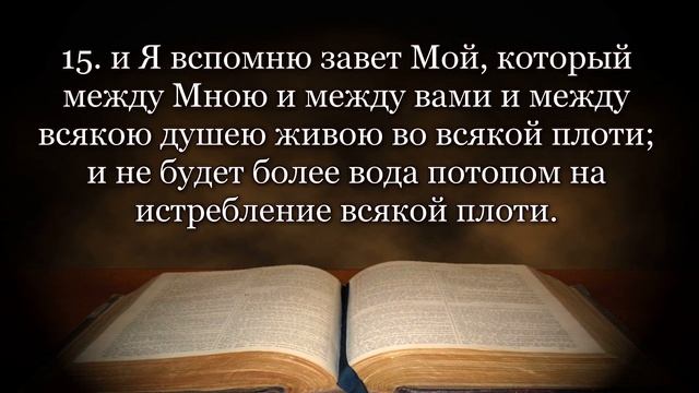 Видео Библия. Бытие, глава 9. Завет Божий с Ноем. Радуга в облаке. Опьянение Ноя. смотреть онлайн