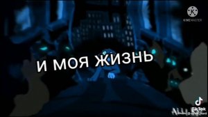 //большая подборка видео//коты воители тик ток//