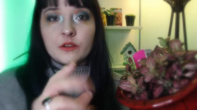 🍃 House Plant Shop 🌿 Soft Spoken🍃 [RP MONTH] смотреть онлайн