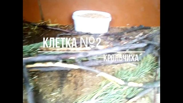 Проект кто самый большой засранец смотреть онлайн