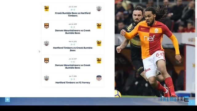 Rockline - Sport News and Club WordPress Theme смотреть онлайн