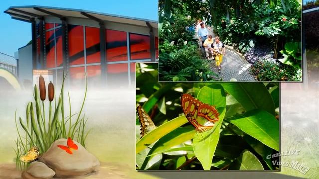 Mainau Island Germany.Остров МАйнау Германия, слайдшоу. смотреть онлайн