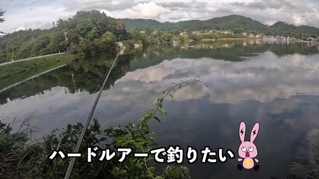 野池でアジングロッド使ったら○○が釣れた！！ смотреть онлайн