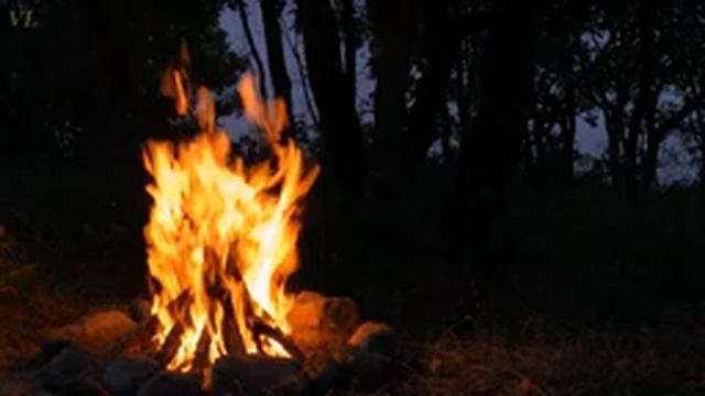 ЗВУК КОСТРА и пение птиц в ночном лесу смотреть онлайн