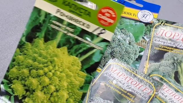 Обзор семян капусты смотреть онлайн