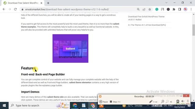 Download Free Salient WordPress Theme v12.1.6 Nulled смотреть онлайн