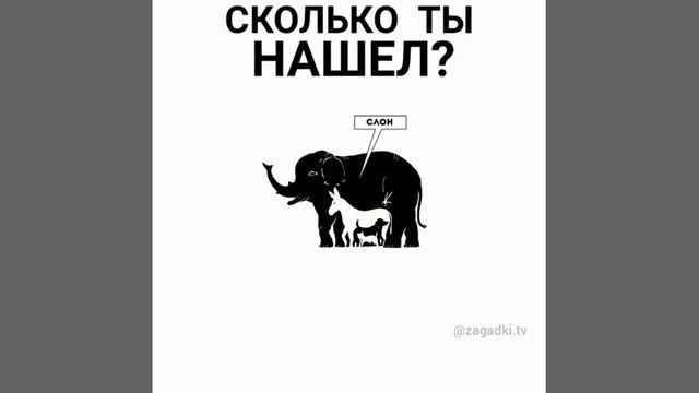 Whatsaper Ru Сколько ты нашел
