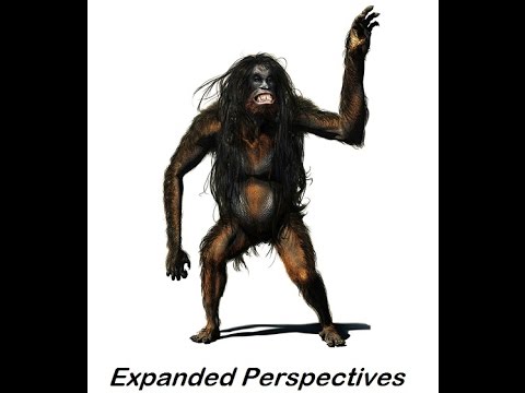 The Orang Pendek