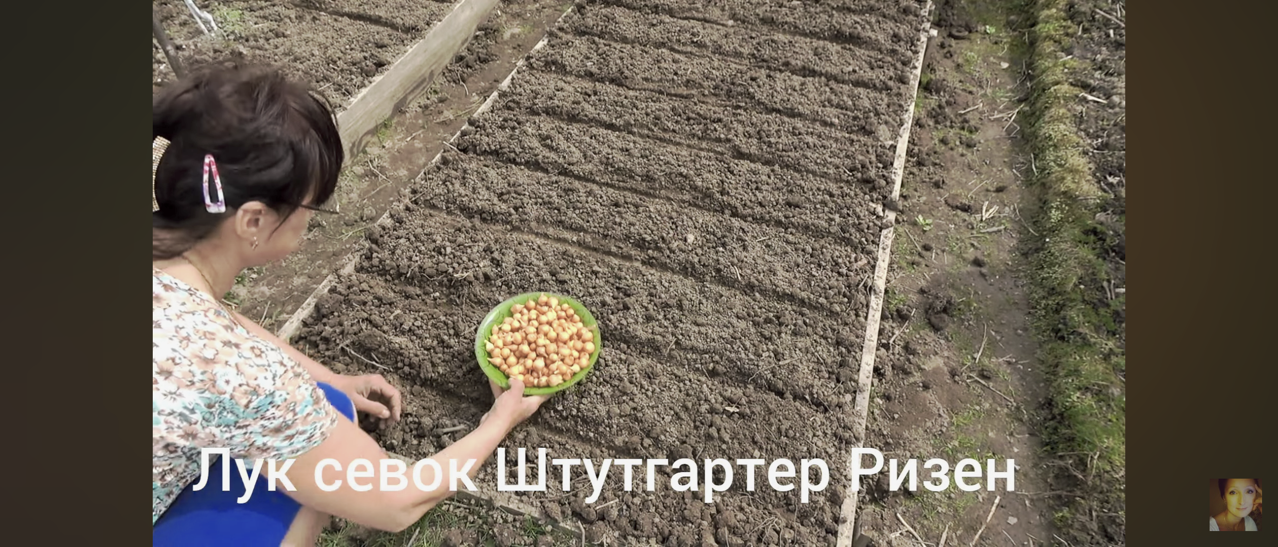 6 соток 30 апреля 2024 года. Хроника.