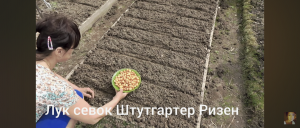 6 соток 30 апреля 2024 года. Хроника.