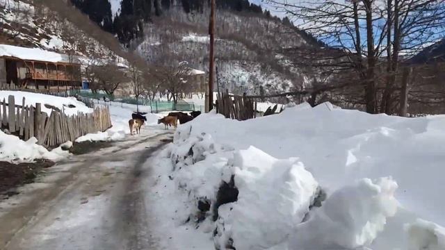 ГРУЗИЯ. Сванетия. Зимняя сказка. смотреть онлайн