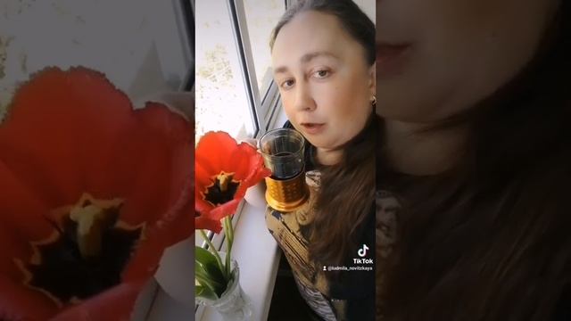 Стихи у березы."А ты живи! Что значит - ты устала?" смотреть онлайн