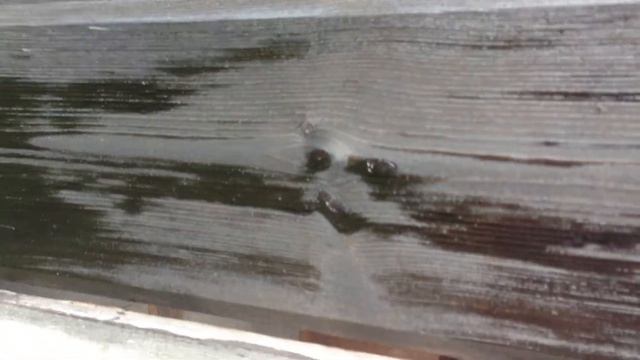 Окраска сосновой смолой (1й слой, спустя ~час) смотреть онлайн