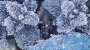 Басков Повали - СНЕГОМ БЕЛЫМ БЕЛЫМ