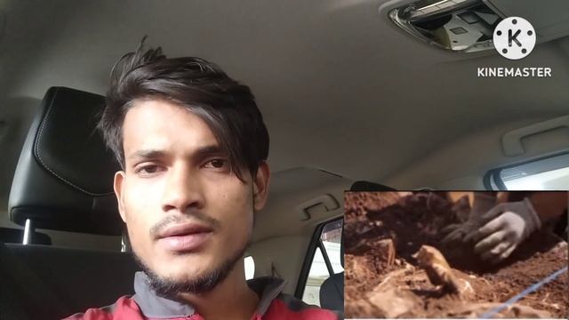 story is /Java ISLAND/#story смотреть онлайн