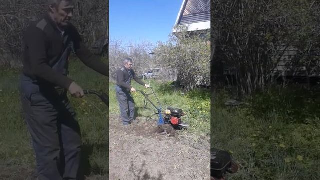 мотоблок нева с задней скоростью пашет целину смотреть онлайн
