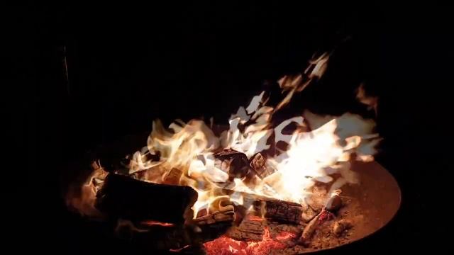 РЫБНОЕ МЕСТО | Страшные истории