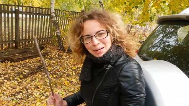 как выбивать семечки из подсолнуха смотреть онлайн