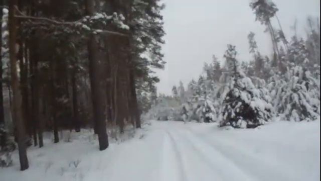 Поход на тайник Маршрут Захаровка - озеро Пиявочное 23.12.2018г смотреть онлайн
